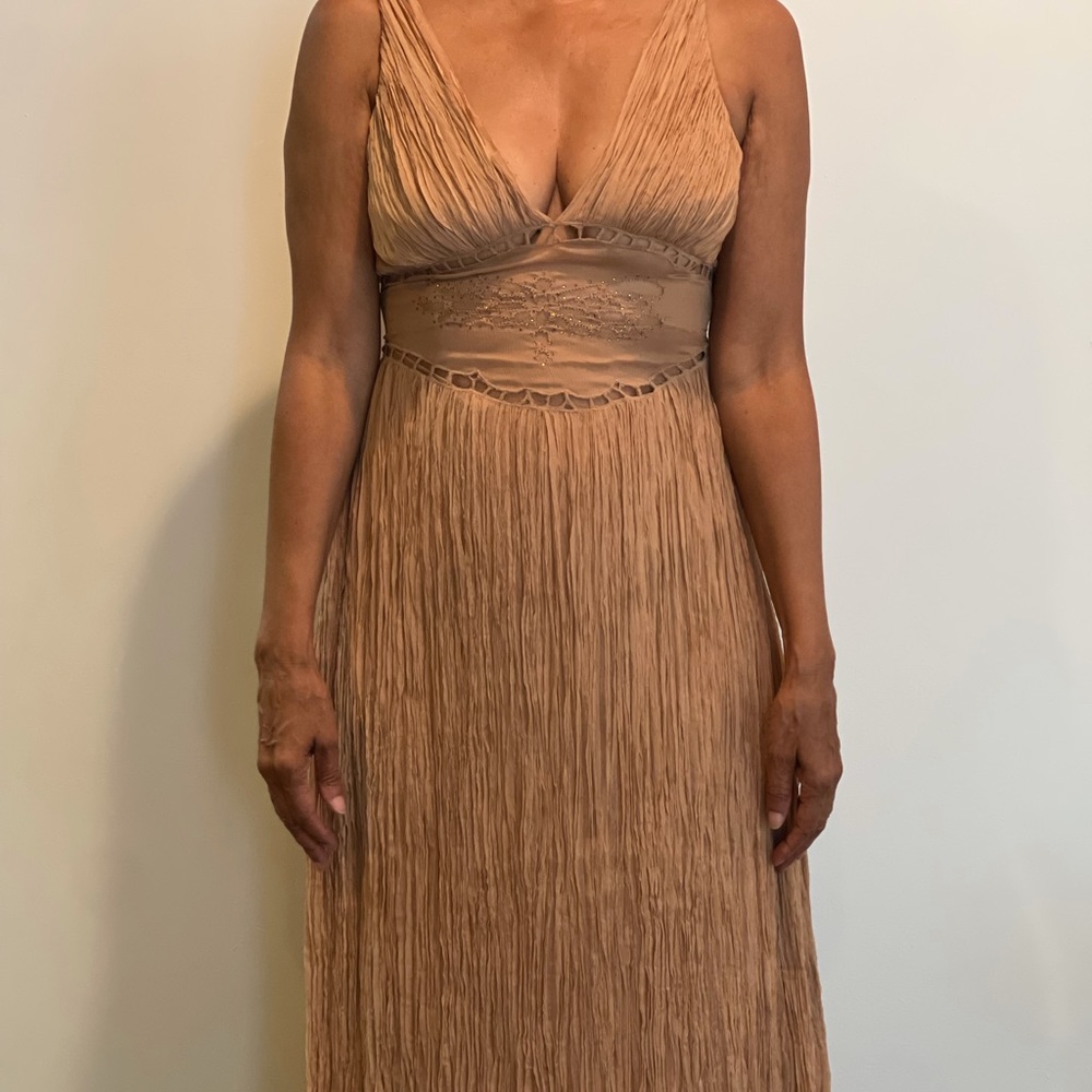 Catherine Malandrino (2) Tan Crinkle Chiffon
